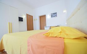 The Whale B&B